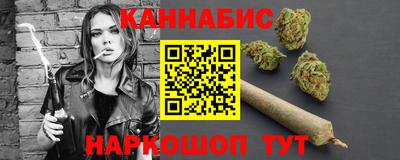 сатива Гай