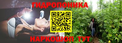 не бодяженный Гатчина