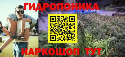 сатива Гай