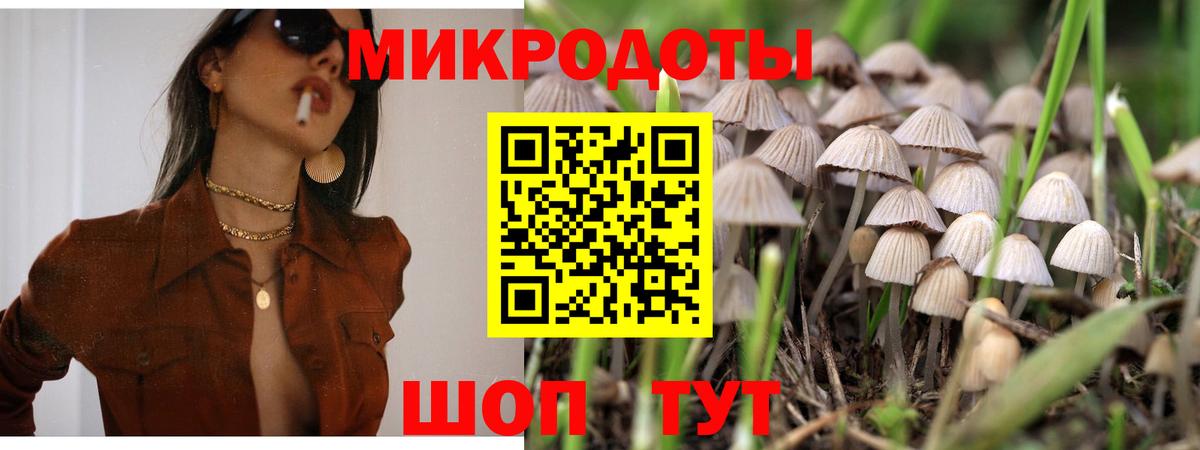 Псилоцибиновые грибы Psilocybe Кинешма